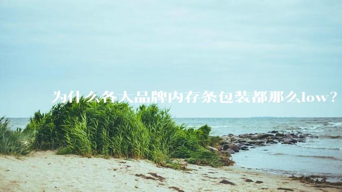 为什么各大品牌内存条包装都那么low？