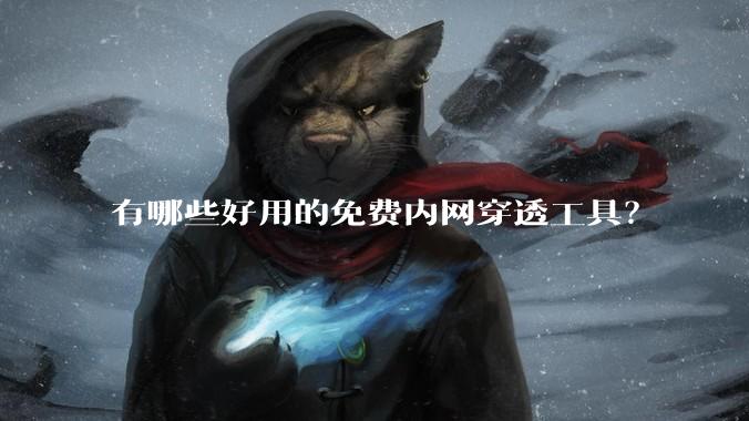 有哪些好用的免费内网穿透工具？