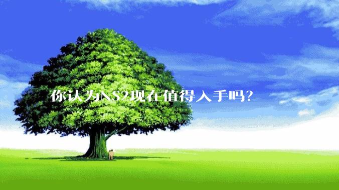 你认为NS2现在值得入手吗？