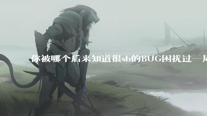 你被哪个后来知道很sb的BUG困扰过一周以上吗？